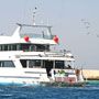 M/Y REEF MASTER